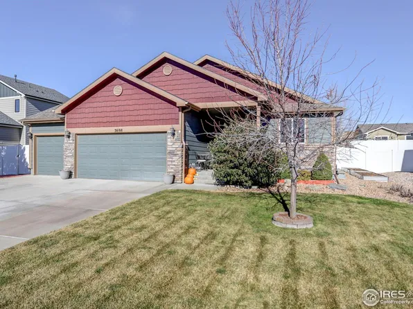 3698 Mount Flora St, Wellington, CO 80549