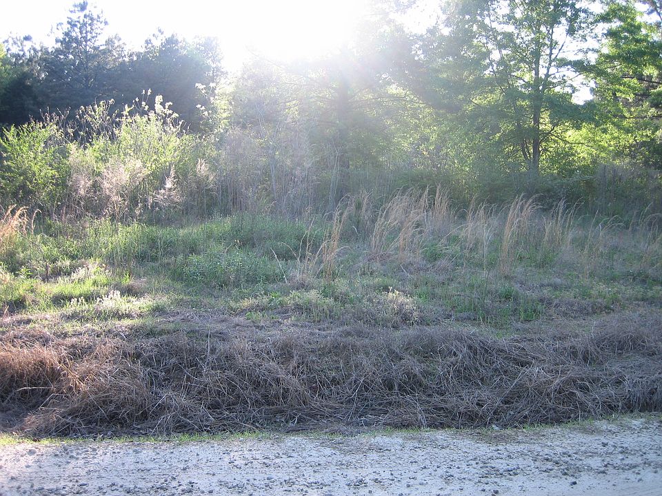 2nd image of 67 Mount Zion Rd