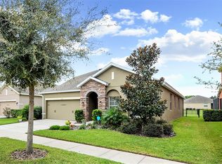 15711 Courtside View Dr, Lithia, FL 33547
