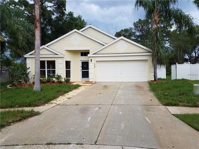 1753 Blue Lake Ct, Tarpon Springs, FL, 34689