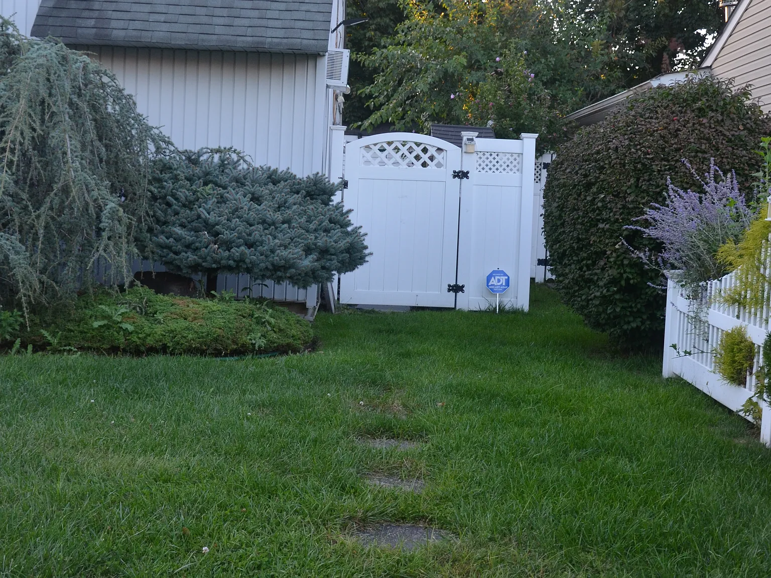1 bed, 950 sqft, $1,900 — Photo 1