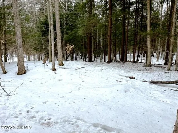 L17.2 Brand Road, Root, NY 12166