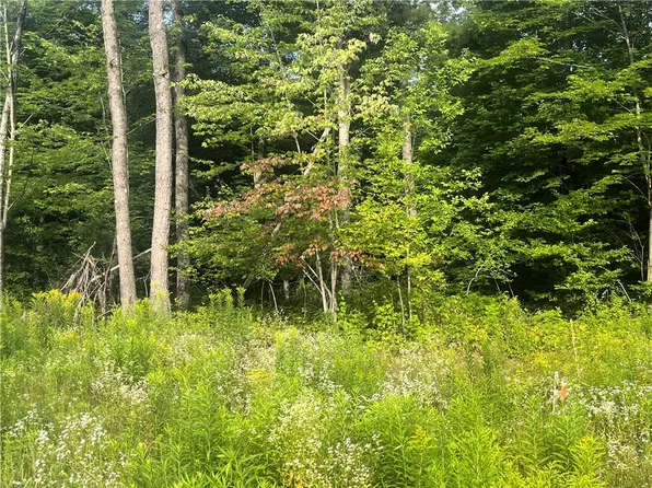 Lot 3 77th Court, Cadott, WI 54727