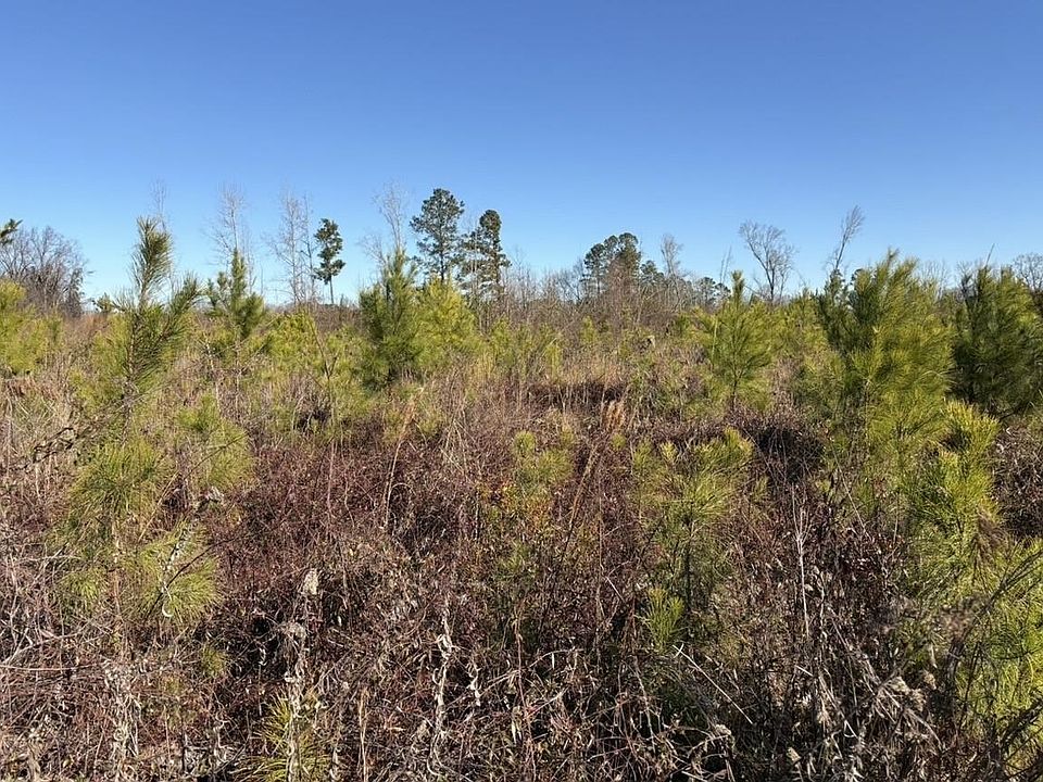 2nd image of tbd Vincent Rd Adj to Buddy Collins Park & Community Center, Zion