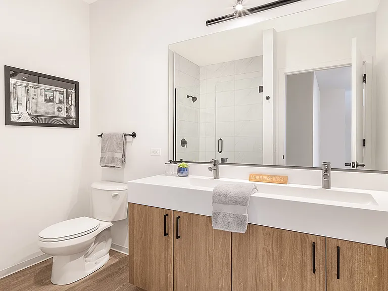 1720 S Michigan Ave #608 — Photo 9