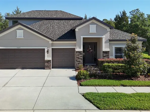 15625 Hawks Crest Loop, Odessa, FL 33556