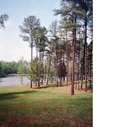 2nd image of 17155 Hidden Lake Ln