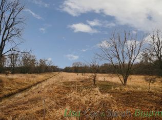 W Parmeter Rd, Ionia, MI 48846