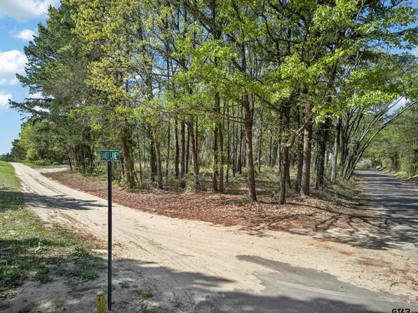142 Sandy Ln, Bullard, TX 75757