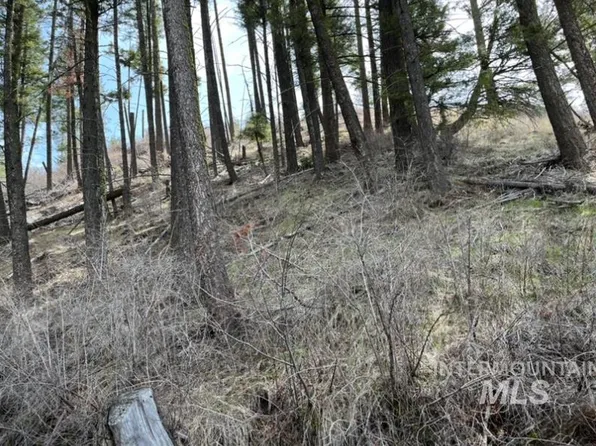 State Highway 129, Anatone, WA 99401