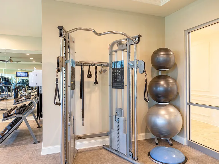 Everything You Need To Live Your Healthy Lifestyle