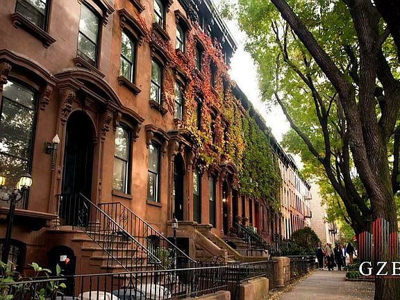 5th image of 50 Hart St #5