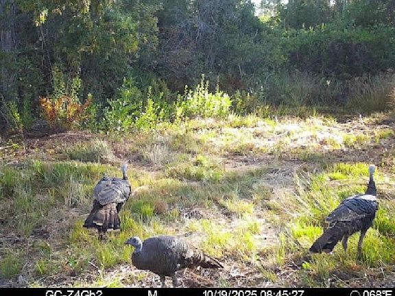 2nd image of 994 SW Oregon Trl
