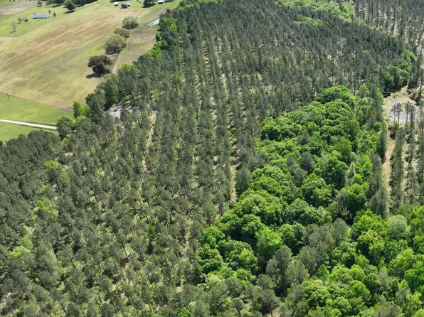 0 Wyman St Lot 9, Eutawville, SC 29048