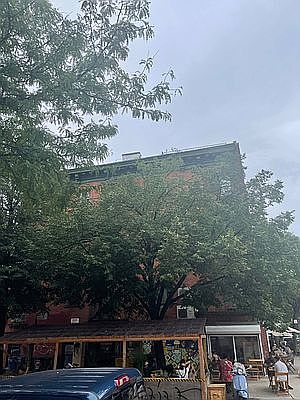 3rd image of 358 Greene Ave #8A