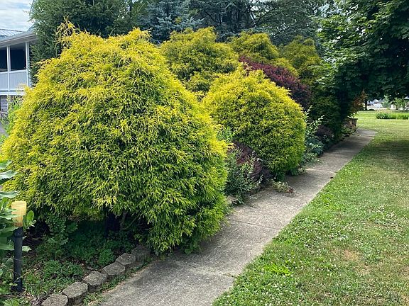 2nd image of 116 Harold Pawling Ln