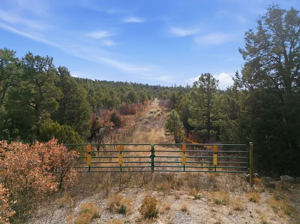 4 Hayner Ct, Tijeras, NM 87059