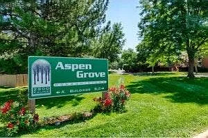 Aspen Grove