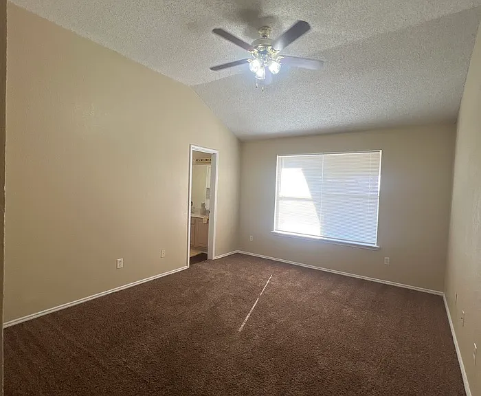 10409 Pleasant Mound Dr — Photo 12