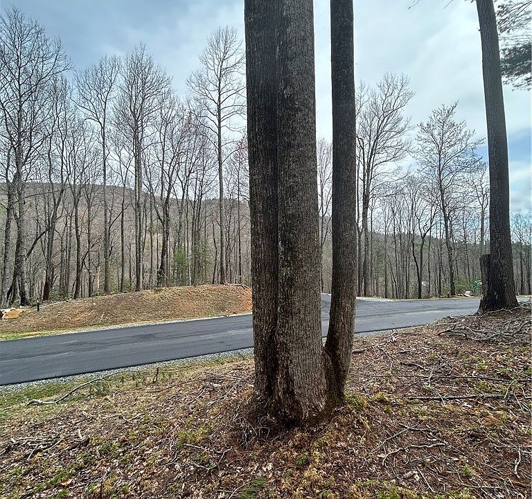 1st image of 58 Wilderness Reserve Parkway