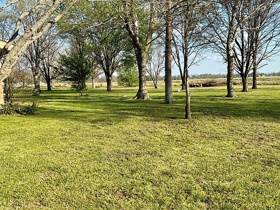 3rd image of 1247 McWimus Rd