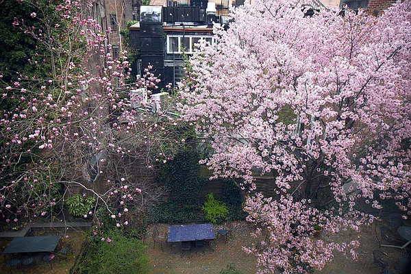 Rented by Curzon Real Estate | media 11