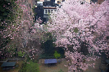 Rented by Curzon Real Estate