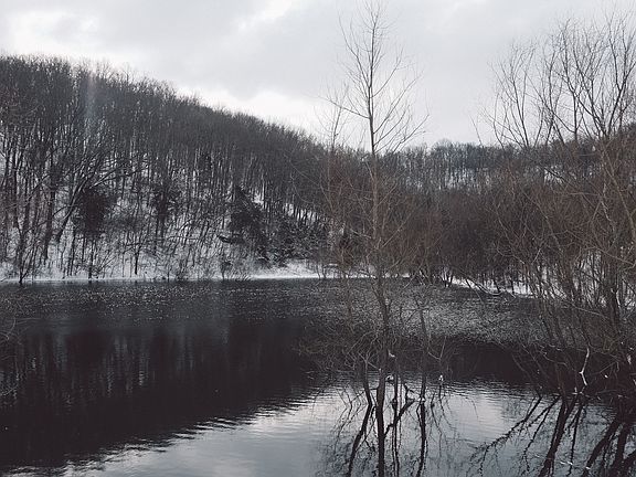 FOR SALE: FAY RANCHES