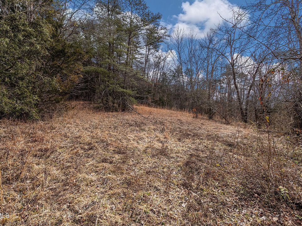 22nd image of 8167 Asheville Hwy