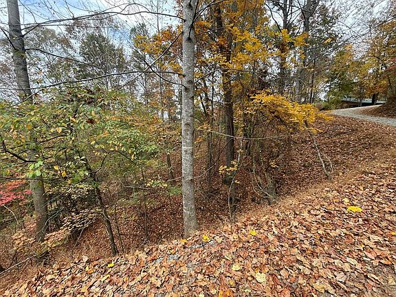 3rd image of 468 Cherokee Ct