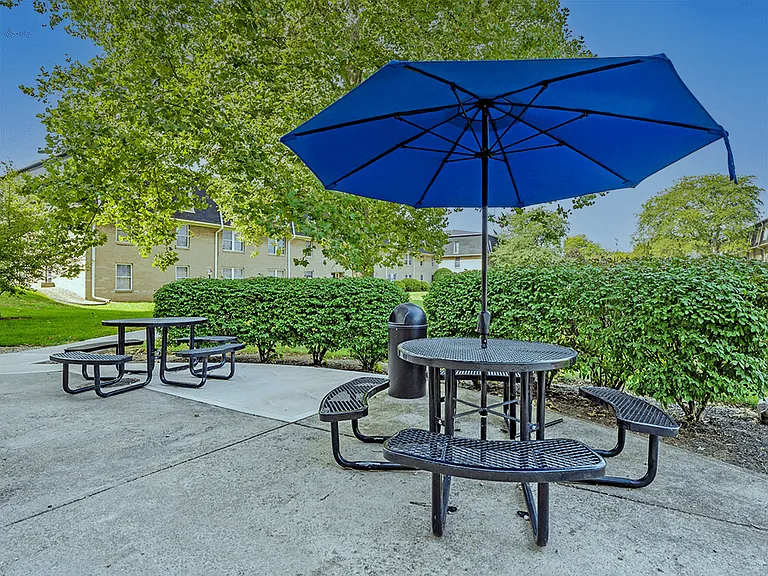Picnic Area