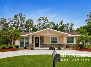 4827 Billy Direct Ln, Lutz, FL 33559