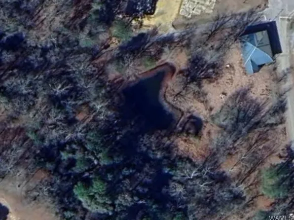 10 Jackson St, Gainesville, AL 35464