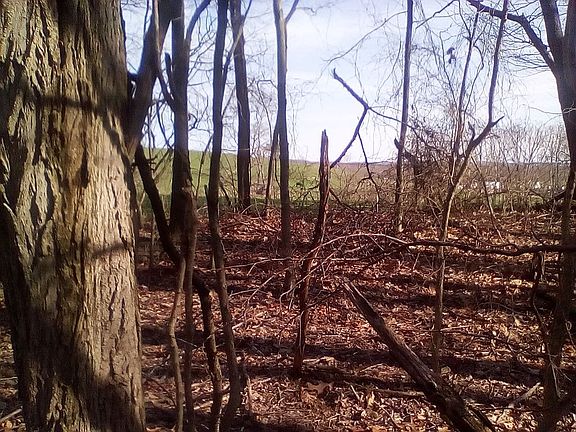 3rd image of Lot 2 Coopers Rock Dr