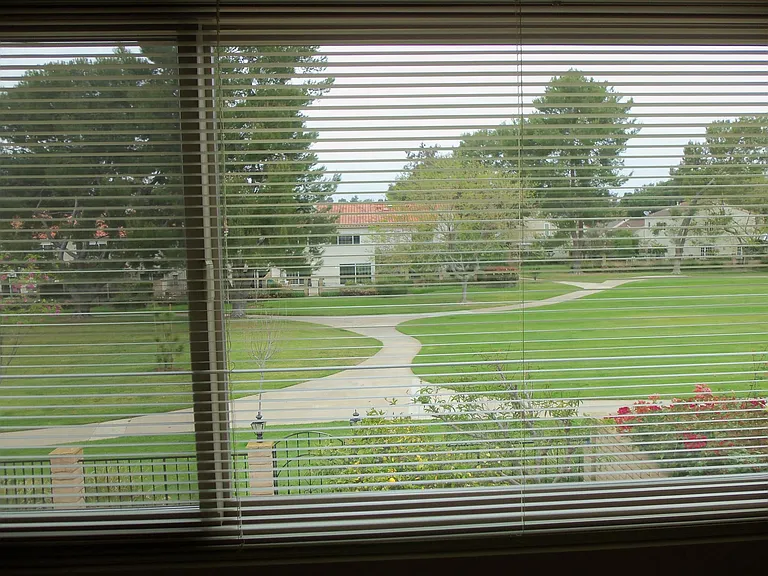67 Acacia Tree Ln — Photo 7
