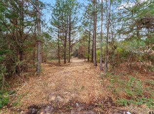 LOT 4 County Road 339, Tyler, TX 75706