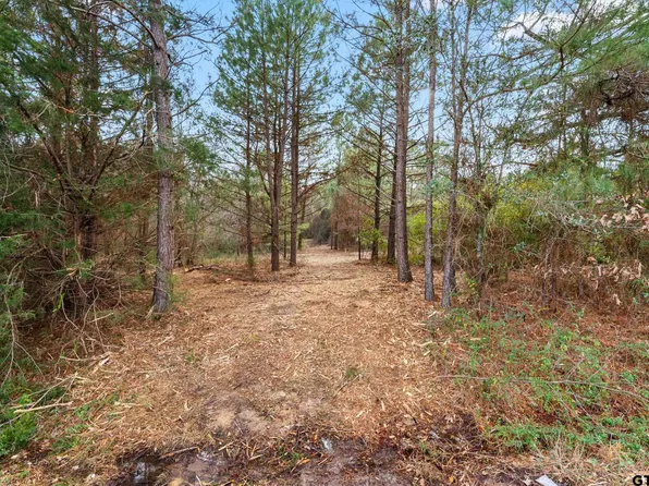 LOT 4 County Road 339, Tyler, TX 75706