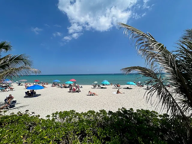 3140 S Ocean Dr #305 — Photo 2