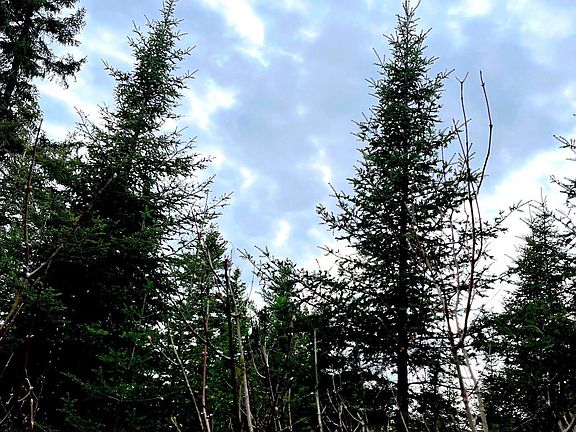 3rd image of XXX Rocky Top Trail