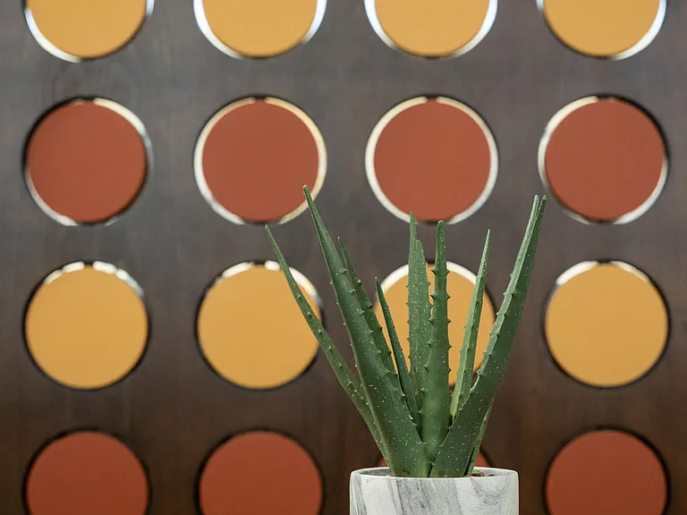 Cabana Southern — Photo 17