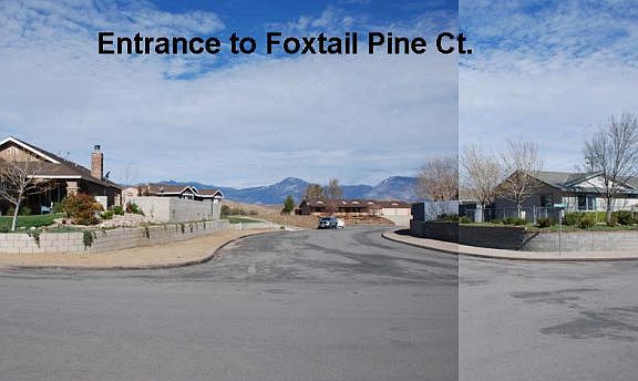 3rd image of 8325 Foxtail Pine Dr