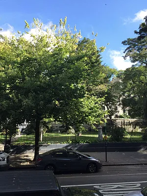 Rented by Yael Dunsky Real Estate | media 29