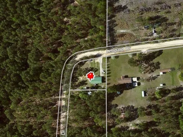 45 Leopard Dr, Swainsboro, GA 30401