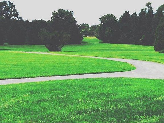 View from Front Door