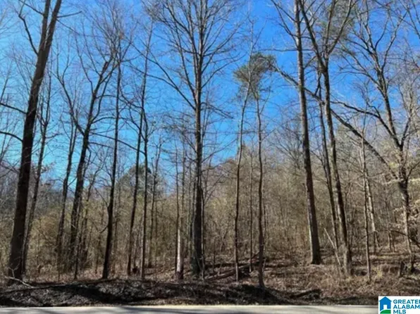 4448 Shady Grove Rd #15.000, Gardendale, AL 35071