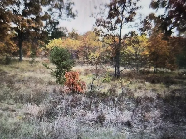LOT 24 Northwood Dr, Grayling, MI 49738