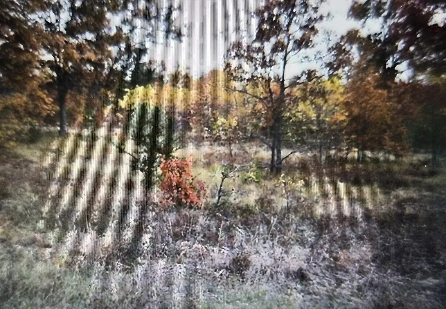 LOT 24 Northwood Dr photo 1