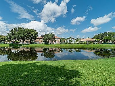View across back yard