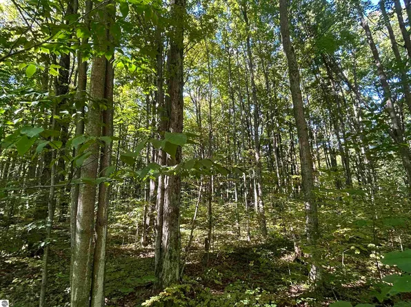 V/l Off Musser Rd, Mancelona, MI 49659