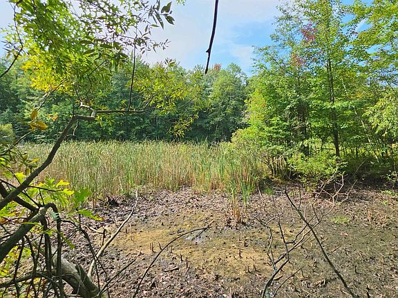 5th image of 14228 Bishop Rd